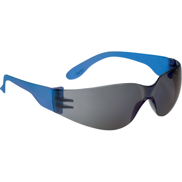 Gafas de protección BRAVA2