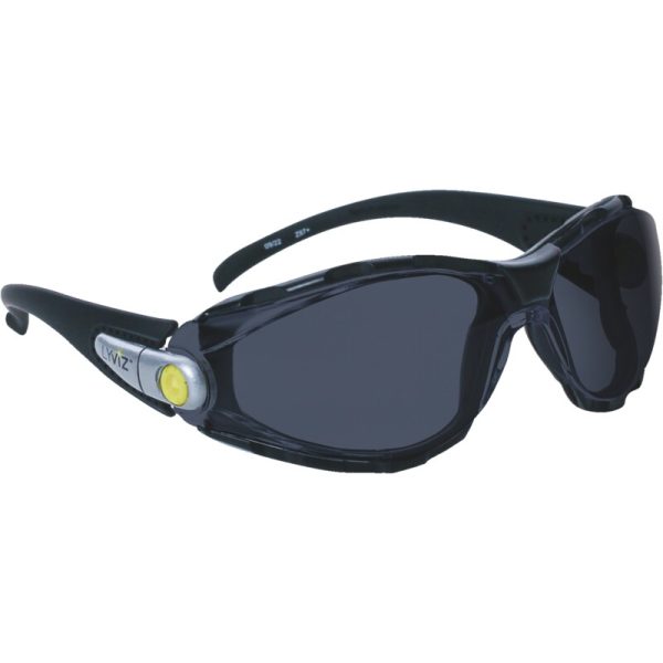 Gafas de protección PACAYA LYVIZ