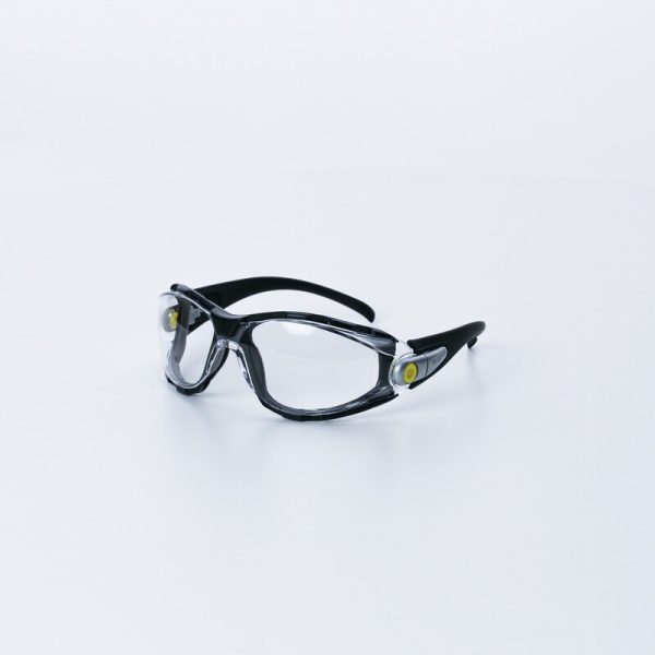 Gafas de protección PACAYA LYVIZ - Imagen 14
