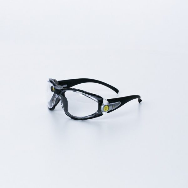 Gafas de protección PACAYA LYVIZ - Imagen 16