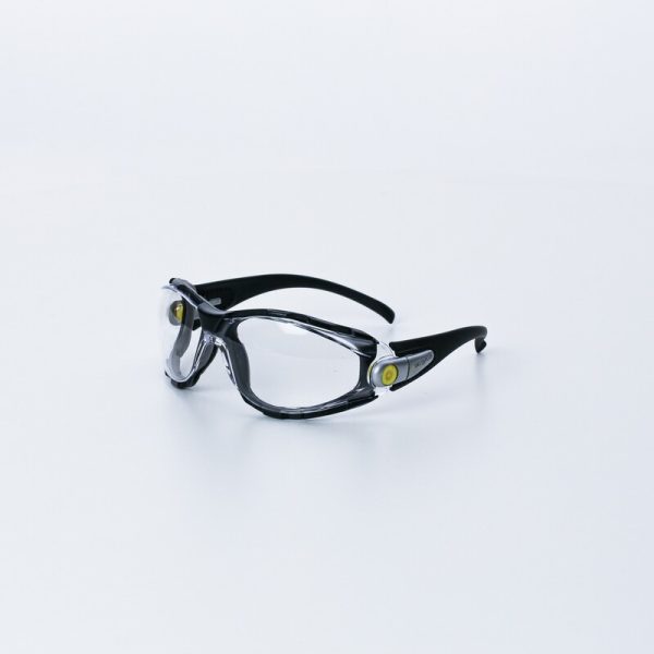 Gafas de protección PACAYA LYVIZ - Imagen 15