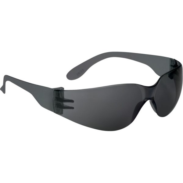 Gafas de protección BRAVA2 - Imagen 2
