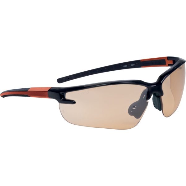 Gafas de protección FUJI2 GRADIENT